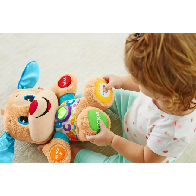 CATELUSUL VORBITOR SI EDUCATIV LIMBA ROMANA FISHER PRICE VIVMTFPN99