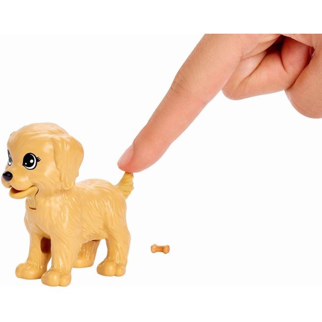 PAPUSA BARBIE SET CU CATELUSI VIVMTFXH08