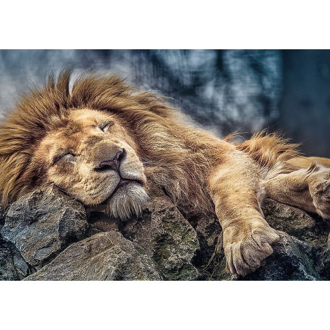 PUZZLE TREFL 1000 LEU DORMIND VIV10447