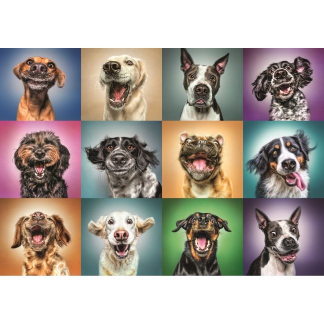 PUZZLE TREFL 1000 PORTRET CATELUSI SIMPATICI VIV10462