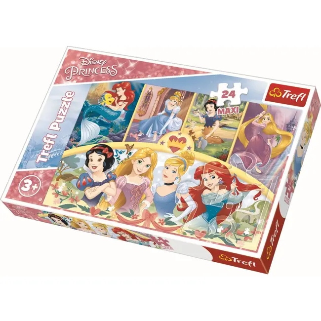 PUZZLE TREFL 24 MAXI AMINTIRI MAGICE VIV14294