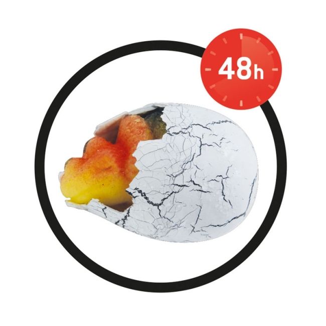 Oul magic Dino - BKD6G