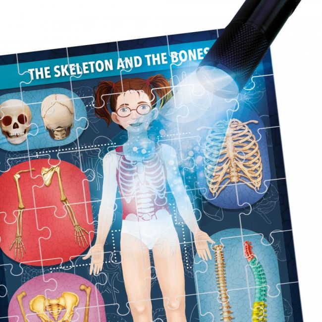 PUZZLE RADIOGRAFIA CORPULUI UMAN - ARTHE22762