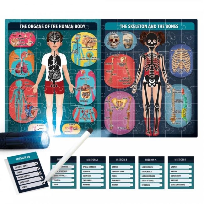 PUZZLE RADIOGRAFIA CORPULUI UMAN - ARTHE22762