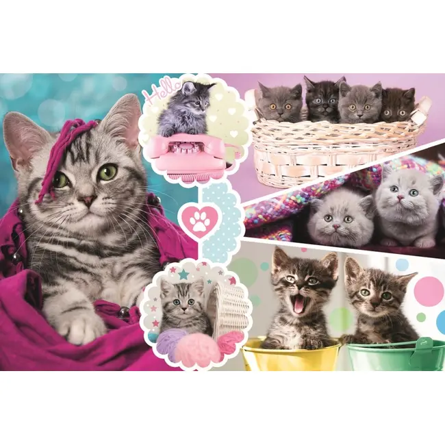 PUZZLE TREFL 160 PISICI DRAGALASE VIV15371