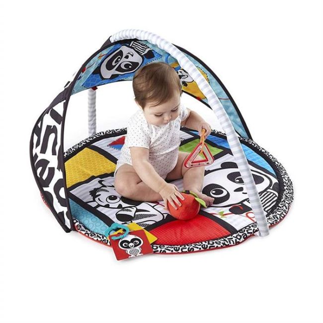 Baby Einstein - Salteluta de activitati Bold New World BBB11398