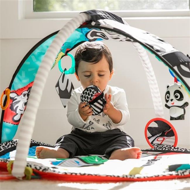 Baby Einstein - Salteluta de activitati Bold New World BBB11398