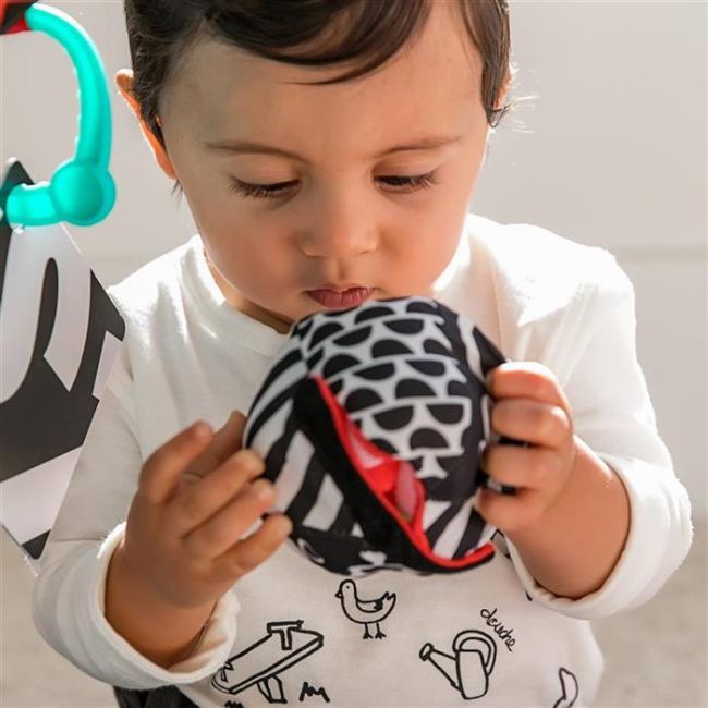 Baby Einstein - Salteluta de activitati Bold New World BBB11398