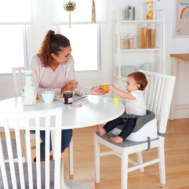 Ingenuity – Booster Toddler Slate BBB11787