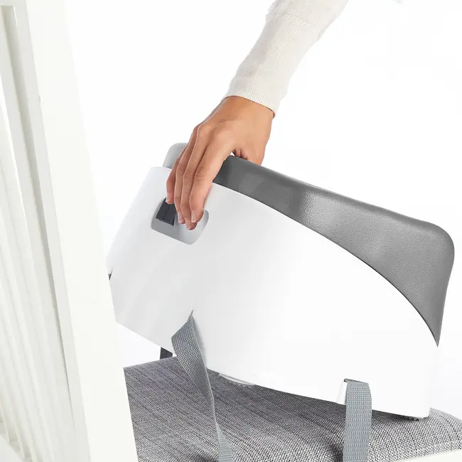 Ingenuity &ndash; Booster Toddler Slate BBB11787