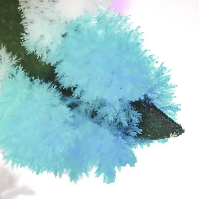 Set experimente - copacul magic