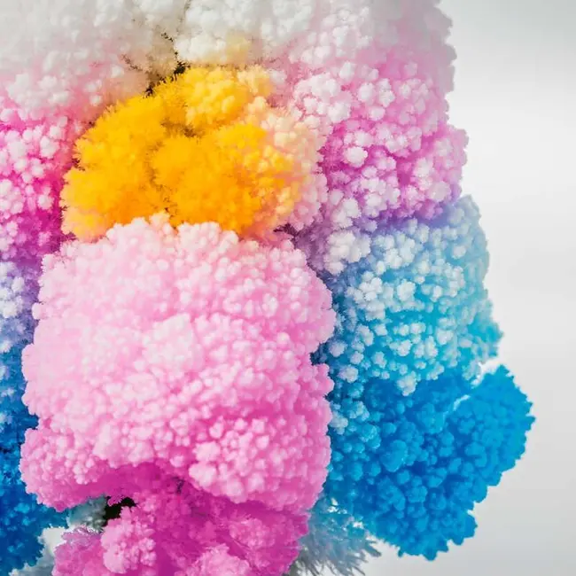 Set experimente - copacul magic