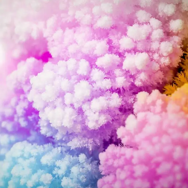 Set experimente - copacul magic