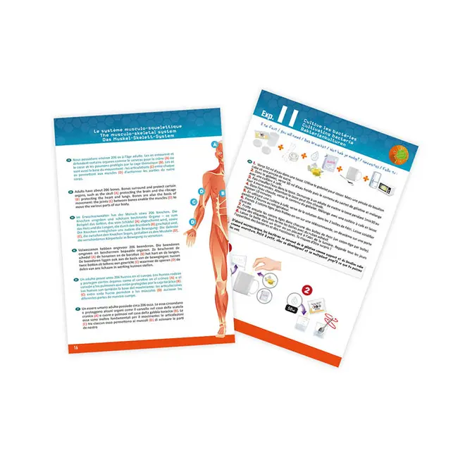 Corpul uman - 12 experimente NEW - BK2163