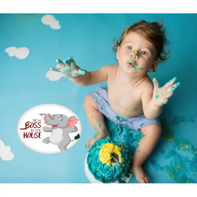 Set Stickere pentru Fotografii copii Funny Animals Baby Milestone Stickers Unisex 15 cm - pentru fotografii memorabile