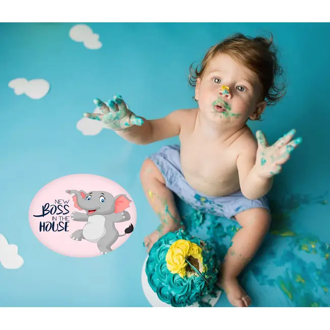 Set Stickere pentru Fotografii copii Funny Animals Baby Milestone Stickers pentru Fetite - 15 cm diametru