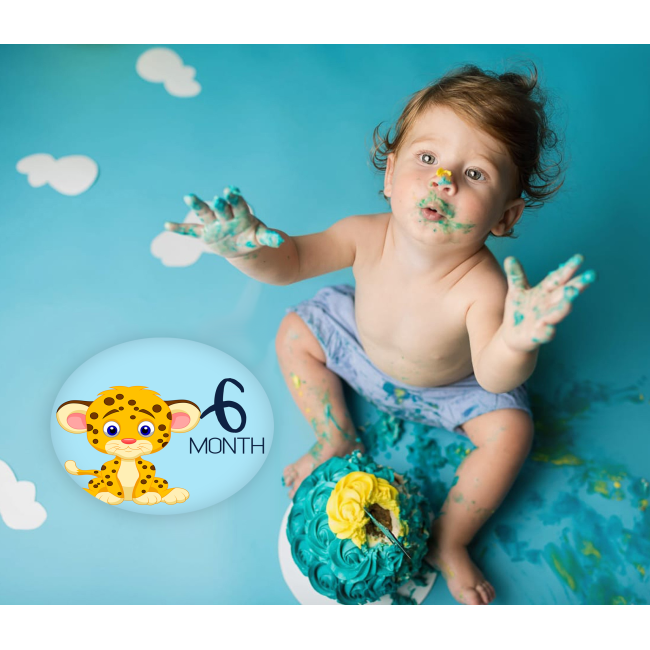 Set Stickere Fotografii Bebelusi My First - Baby Milestone Stickers pentru baieti 15 cm diametru