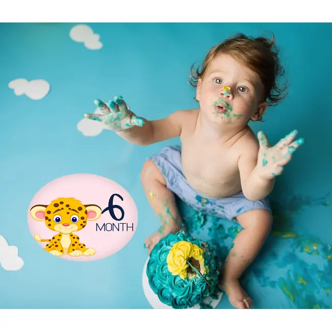 Set stickere foto bebeluse model My First Baby Milestone Stickers pentru Fetite - 15 cm diametru