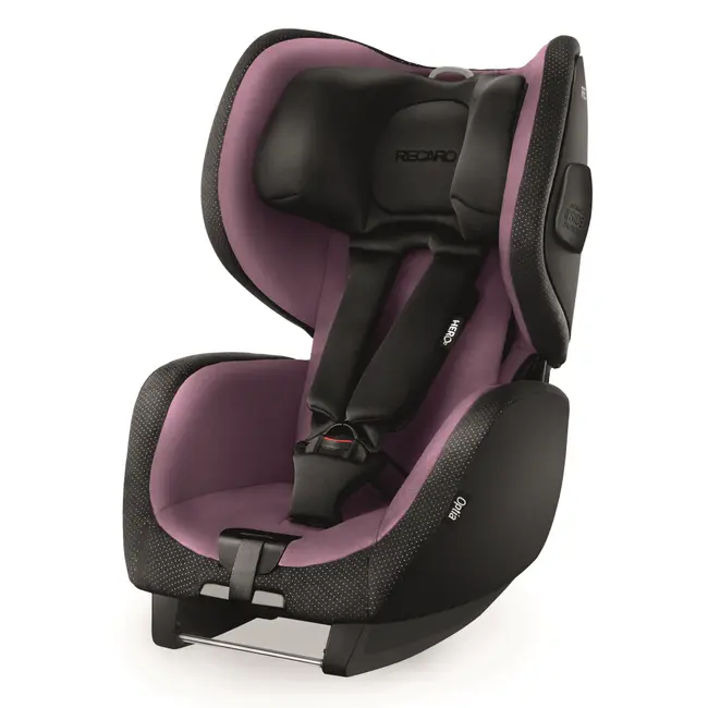 Scaun Auto pentru Copii fara Isofix Optia Violet TNA6136.21214