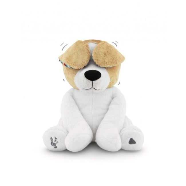 Catelusul danny peek a boo tnaza-danny-01