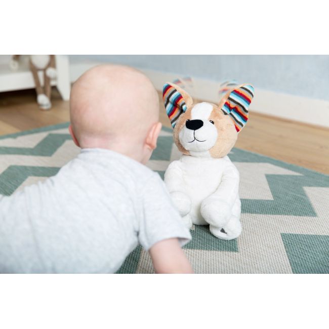 Catelusul danny peek a boo tnaza-danny-01