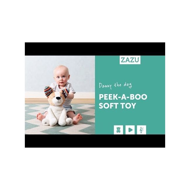 Catelusul danny peek a boo tnaza-danny-01
