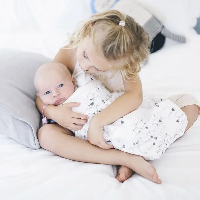 Sistem de infasare ergobaby sheep tnaswasheep