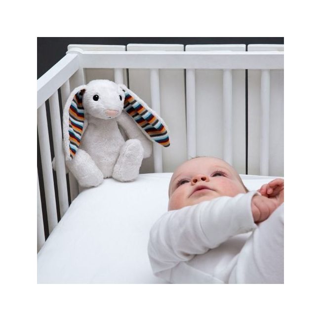 Jucarie muzicala zazu kids bibi tnaza-bibi-01