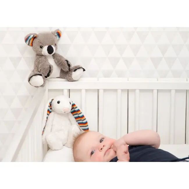 Jucarie muzicala zazu kids coco tnaza-coco-01