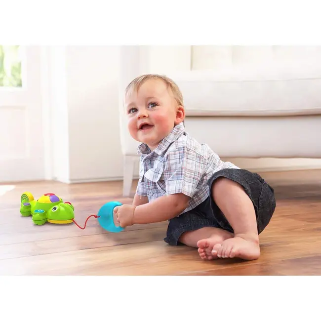 Cameleonul amuzant tnai17510