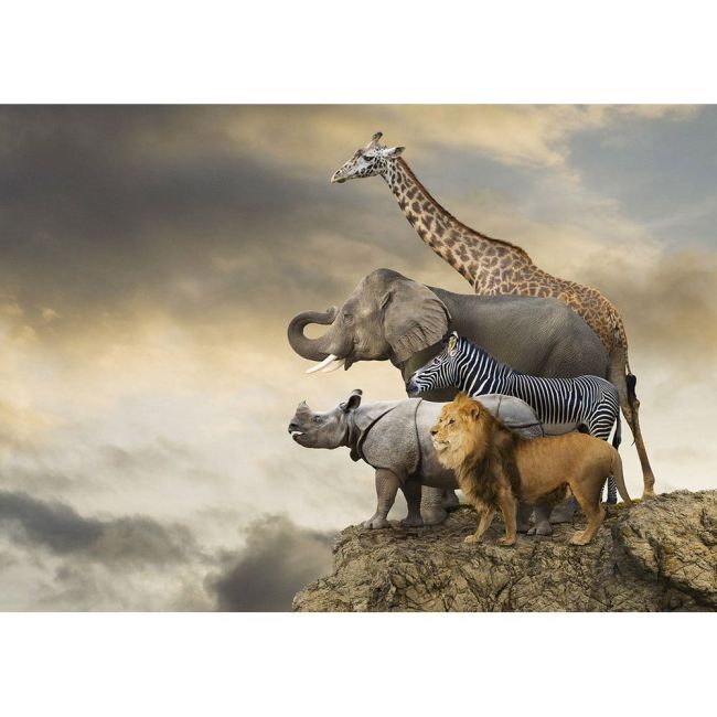 Puzzle animalele din jungla savana africana tna16737