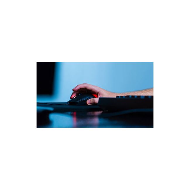 Mouse Gaming Steelseries Rival 110 Negru - VG85678