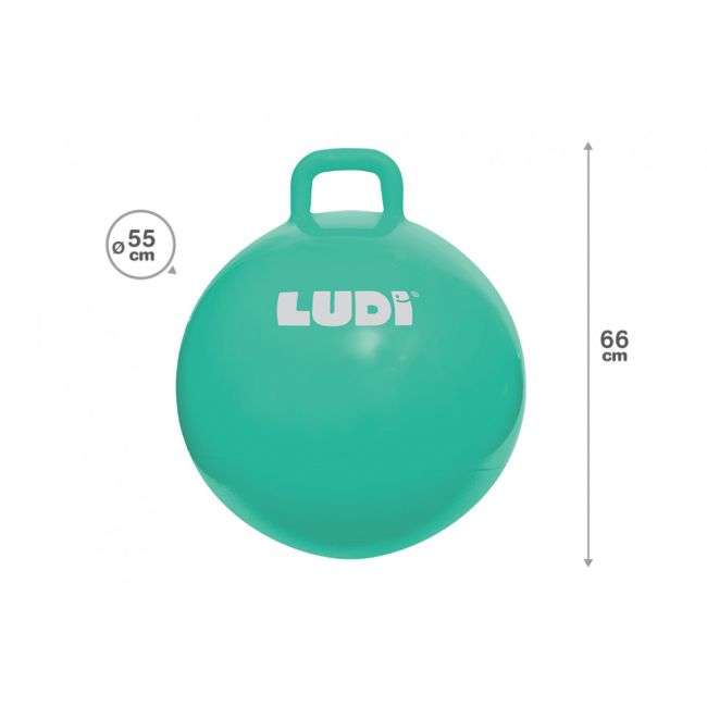 LUDI Minge saltareata BLUE 55 cm DNBLUD90104