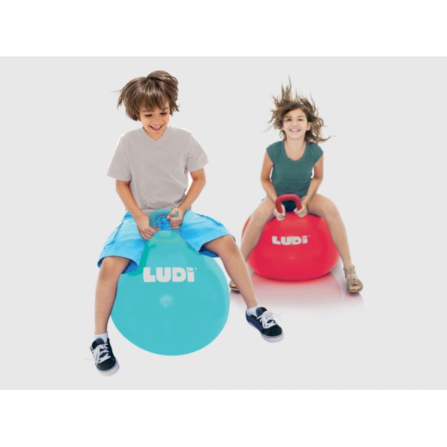 LUDI Minge saltareata BLUE 55 cm DNBLUD90104
