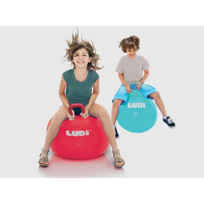 LUDI Minge saltareata RED 55 cm DNBLUD90101