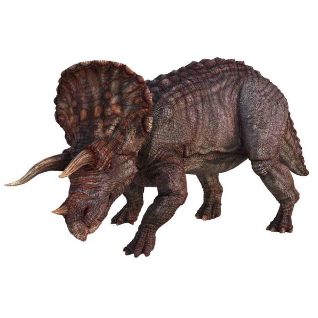 Diapozitive - dinozauri