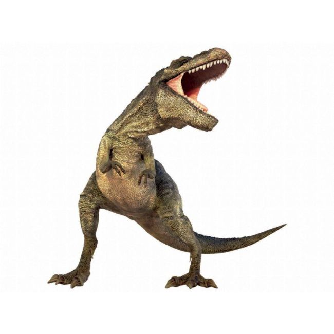 Diapozitive - dinozauri
