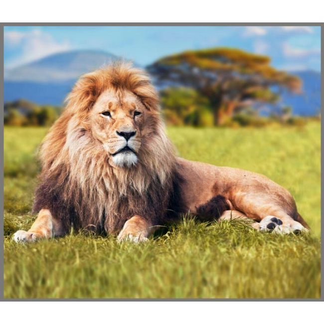 Proiector tip lanterna - animale periculoase