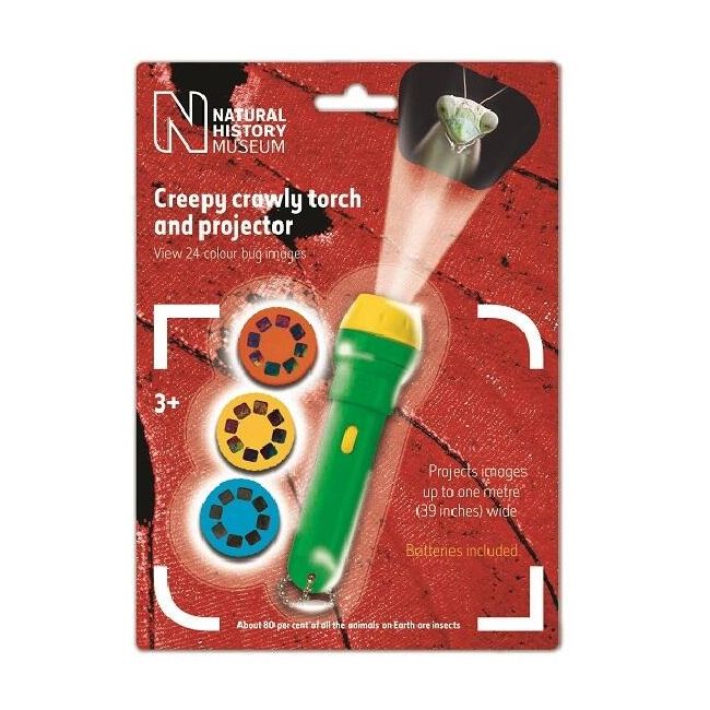 Proiector tip lanterna - insecte