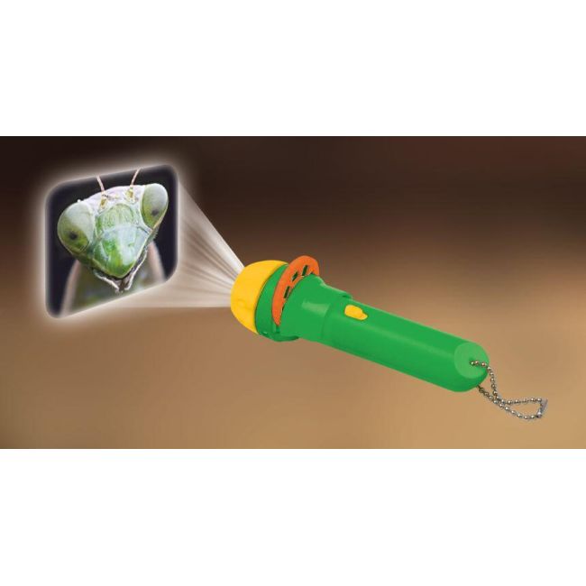 Proiector tip lanterna - insecte