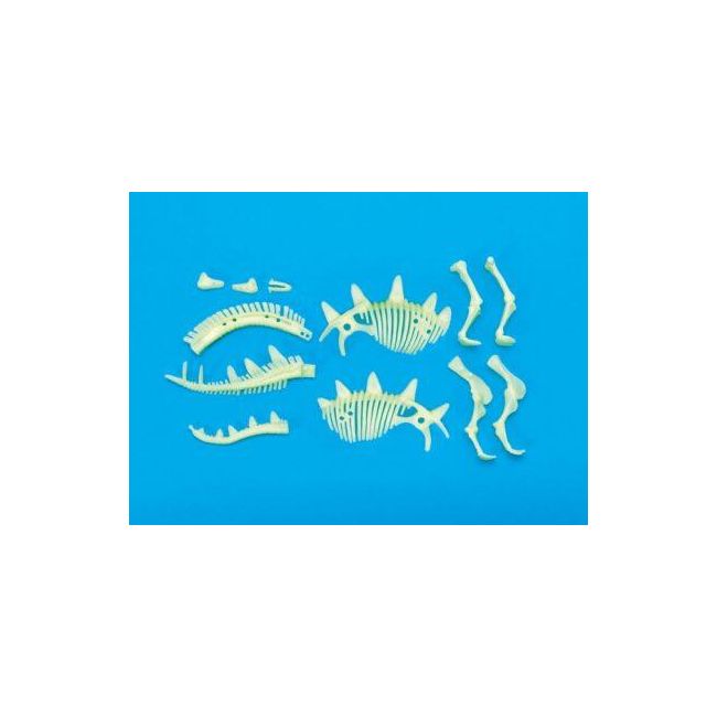 Schelet stegosaurus reflectorizant
