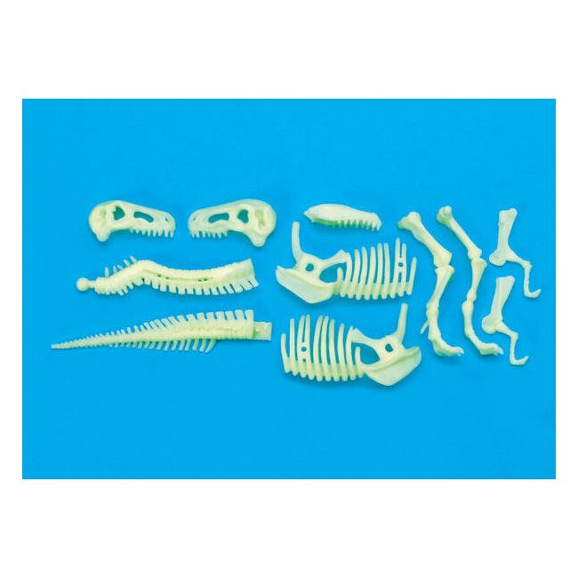 Schelet t-rex reflectorizant