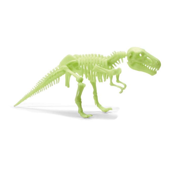 Schelet t-rex reflectorizant