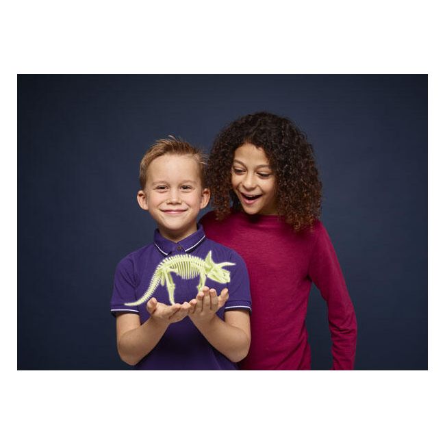 Schelet triceratops reflectorizant