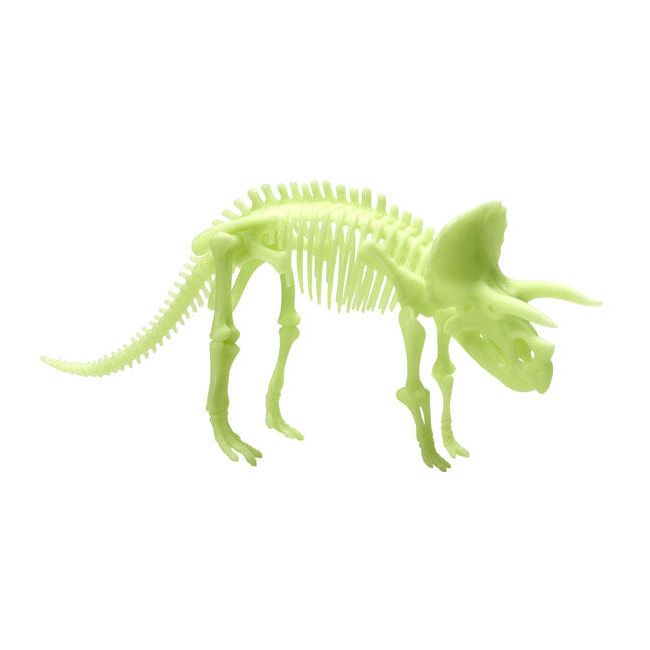 Schelet triceratops reflectorizant