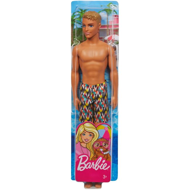PAPUSA KEN LA PLAJA CU COSTUM DE BAIE MULTICOLOR VIVMTFJF08_FJF09