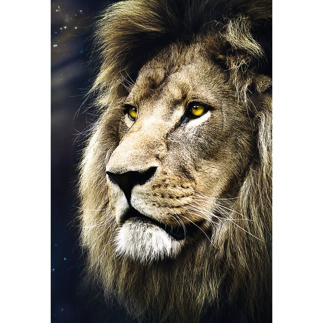 PUZZLE TREFL 1500 LEU PORTRET VIV26139