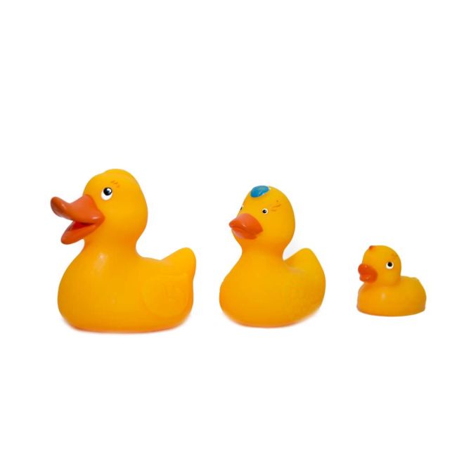 JUCARII BAIE - Familia Ratuste KRT825x3