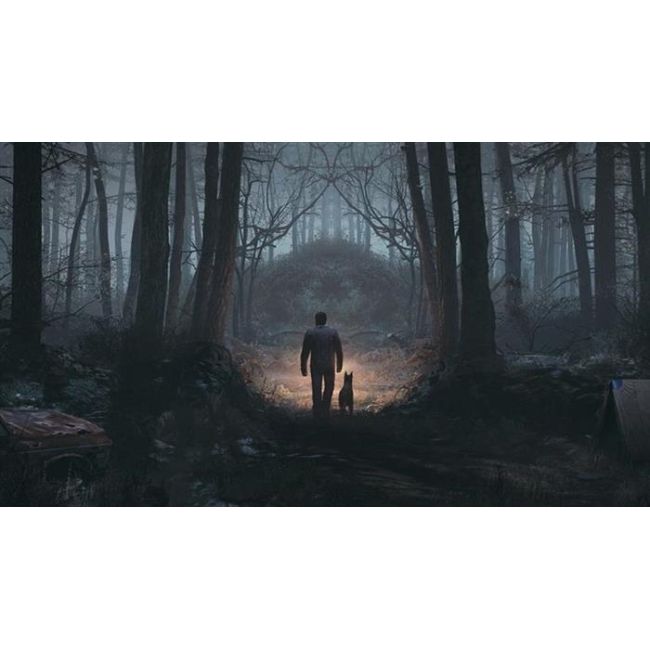 Blair Witch Ps4 - VG90287