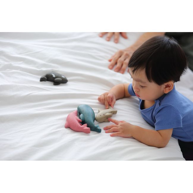 Set cu animale marine RMKPLAN6129